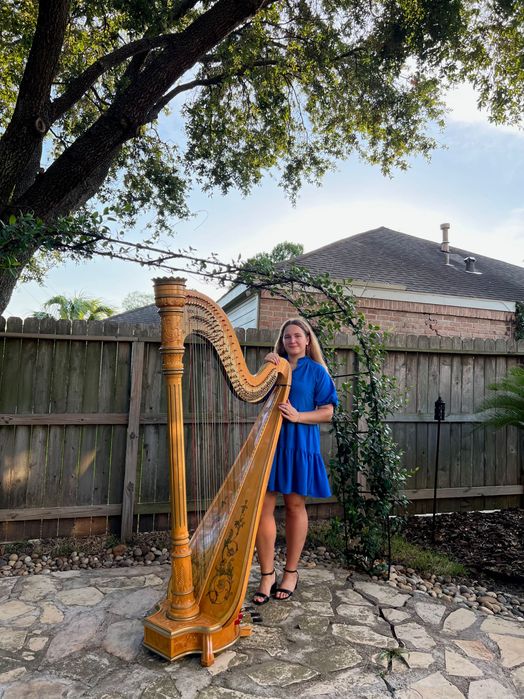 Harpă la evenimente