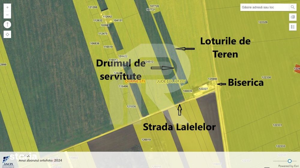 Domnesti teren intravilan