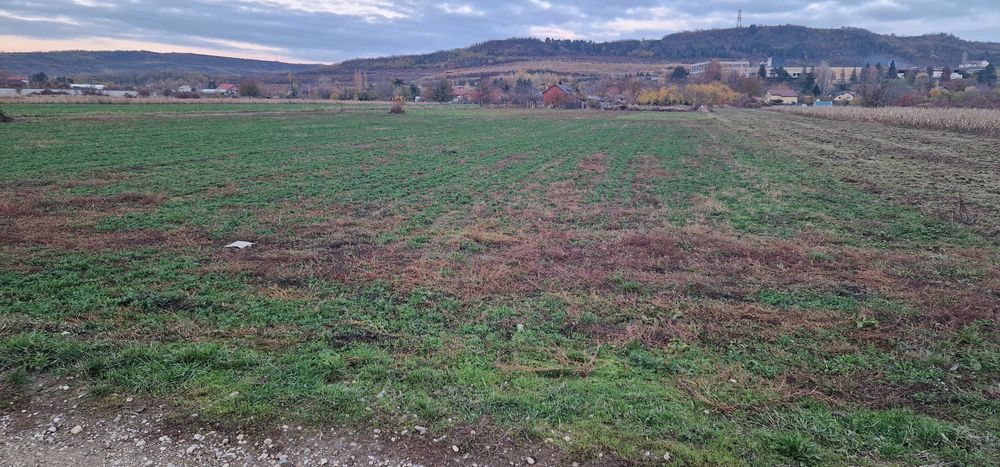 teren intravilan 3200 mp