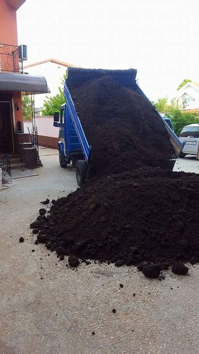 Pamant negru vegetal de padure