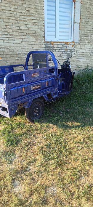 Муравейник электрический