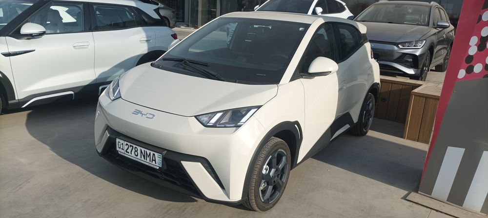 BYD SEAGULL 405 km Flying