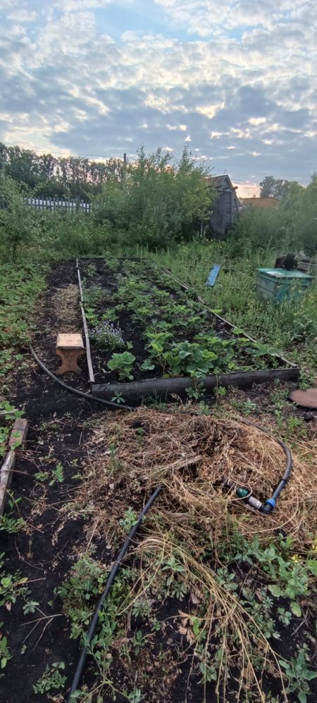 Продам дачу «дружба»