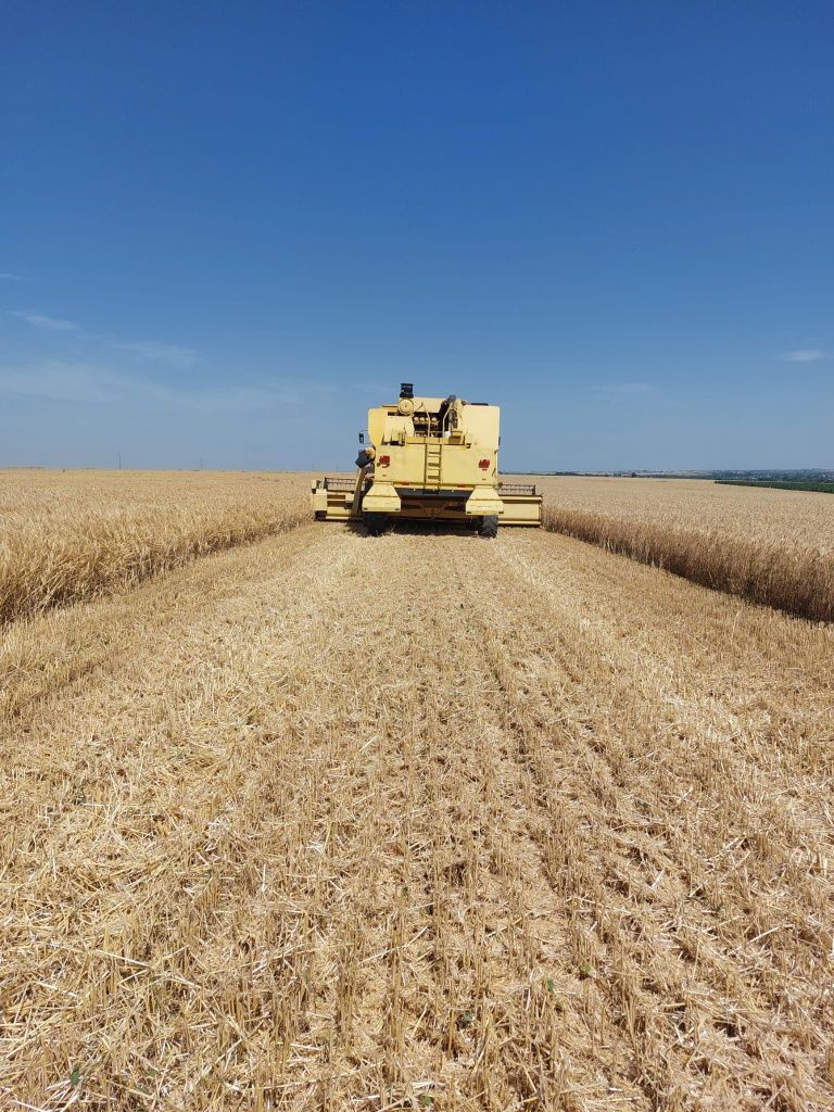 New Holland TF46