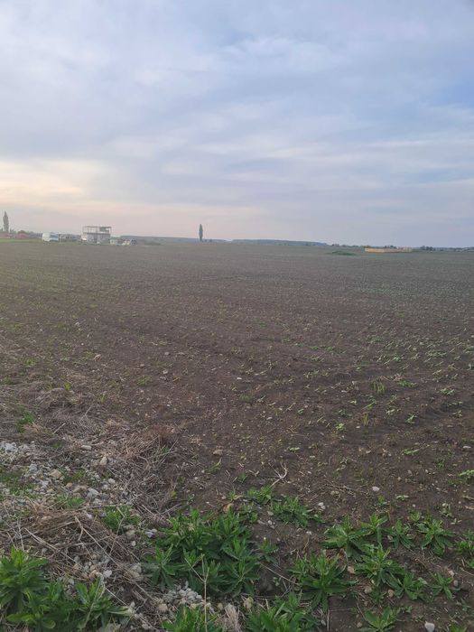 3 Terenuri intravilane 551 mp fiecare - Str Ciprian Porumbescu,Otopeni