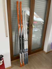 Ski fisher 164 cm si 184 cm , Nou