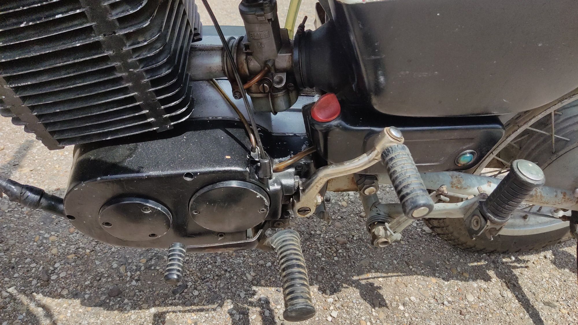 Mz 251.         .