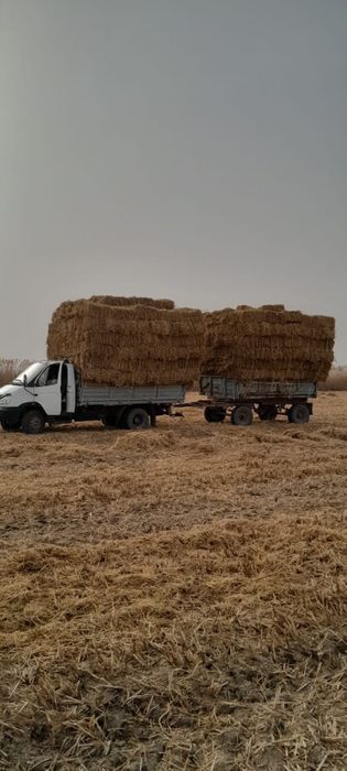 Сабан пресс қала ішіне жеткізі тегін