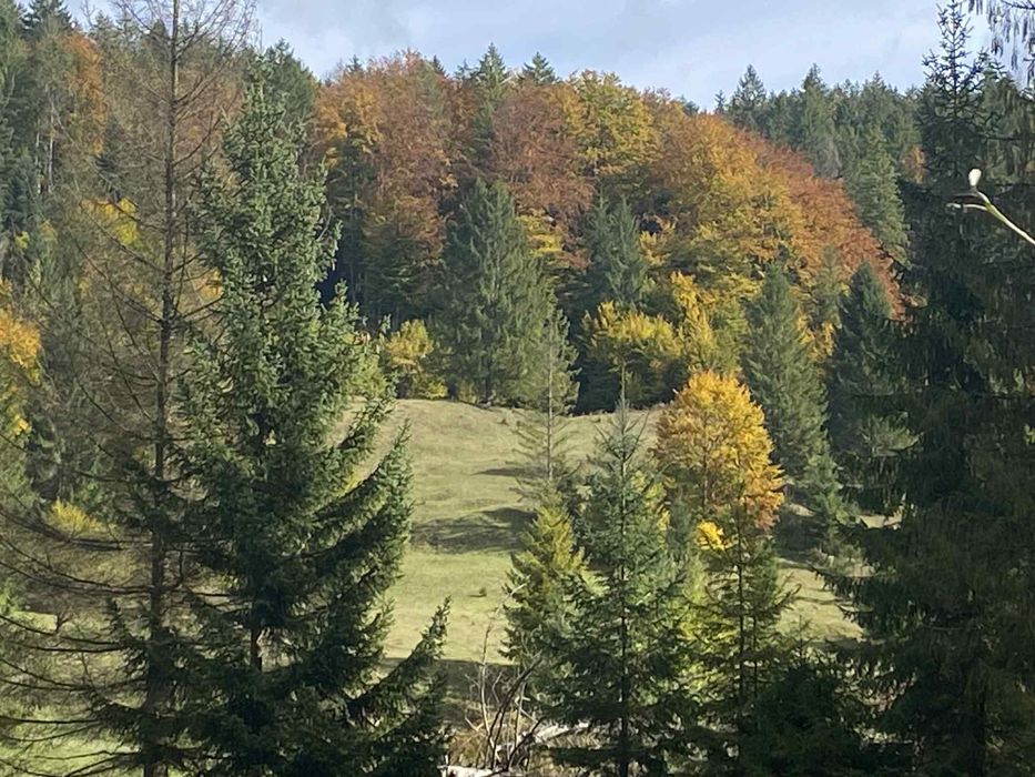 Vand teren in Voronet