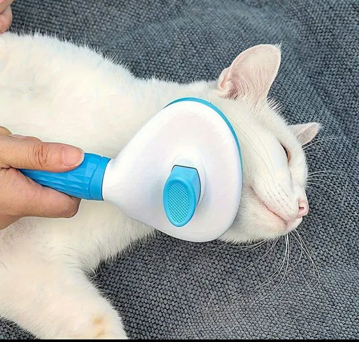 Perie  pentru pisici