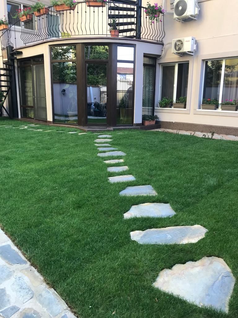 Vând catalpa globulară diferite dimensiuni