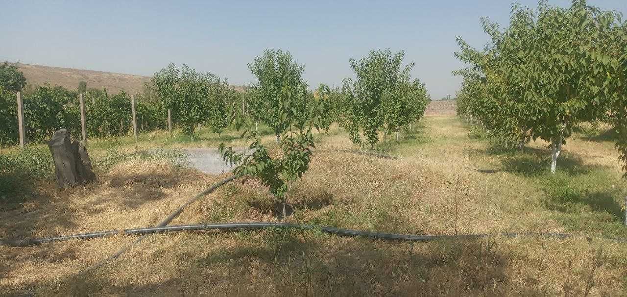 Продам Дачу 30 соток