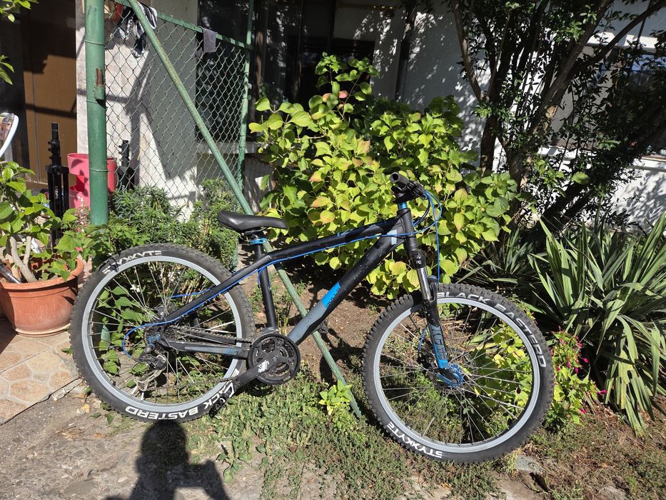 Dirt jumper [mtb] bulls