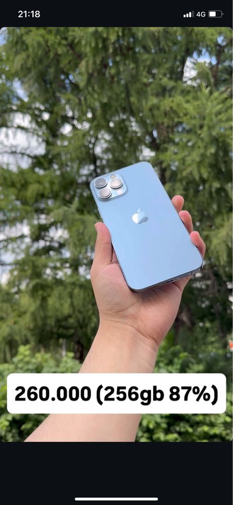 Iphone 13 Pro max (256)