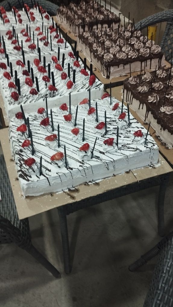 Tortlar har hil turdagi
