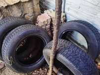 Anvelope Cauciucuri Masina SUV 225 65 R17 Pirelli M+S