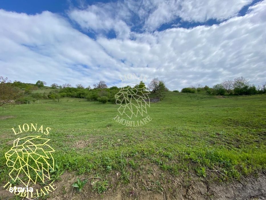 Teren Extravilan - Ghinda - 3.5000mp-Parcelabil