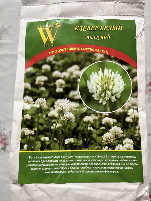 Газон спортивный,клевер декоративный.