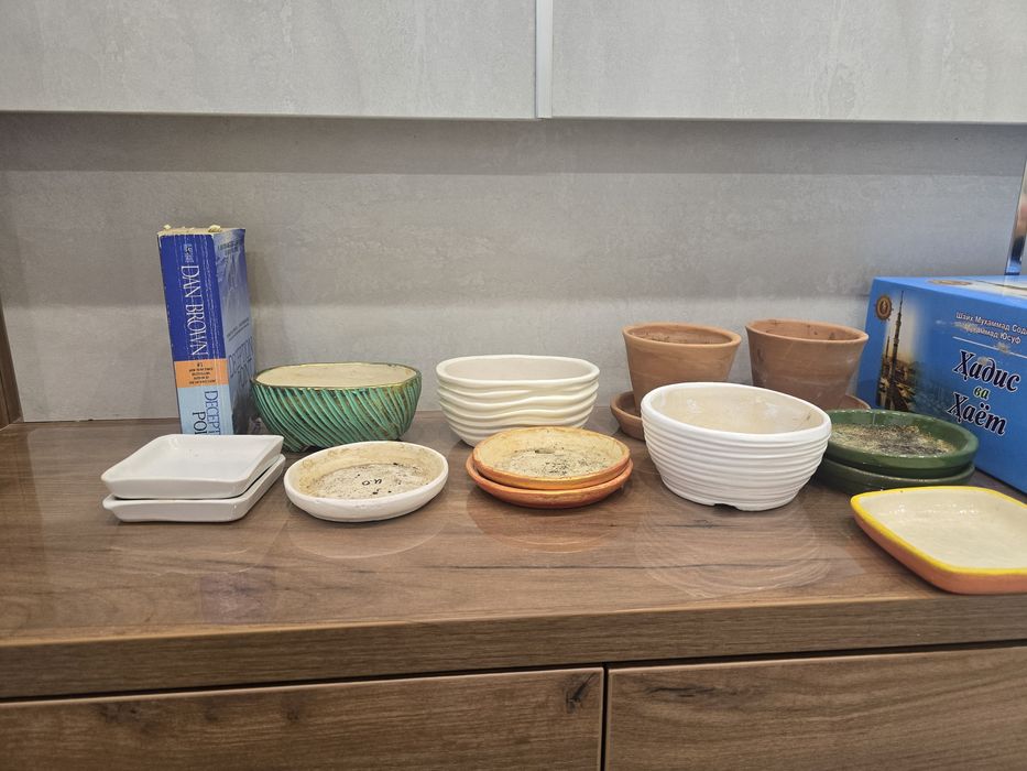 Керамические и пластиковые горшки