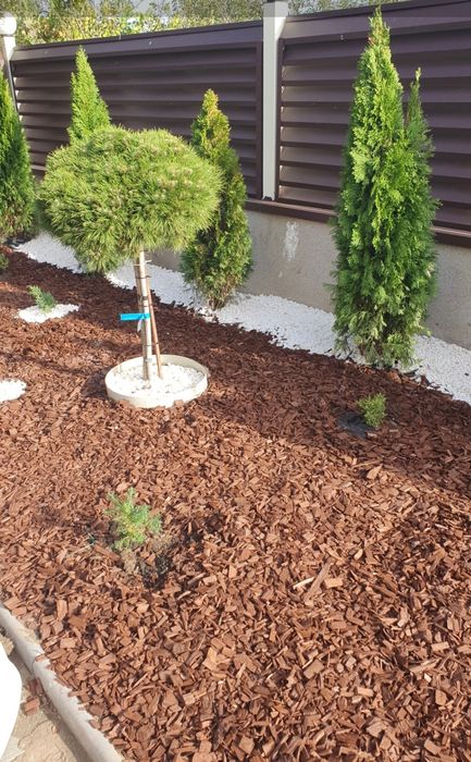 Gazon rulou, piatra decorativa/scoarța, Amnajam spații verzi etc