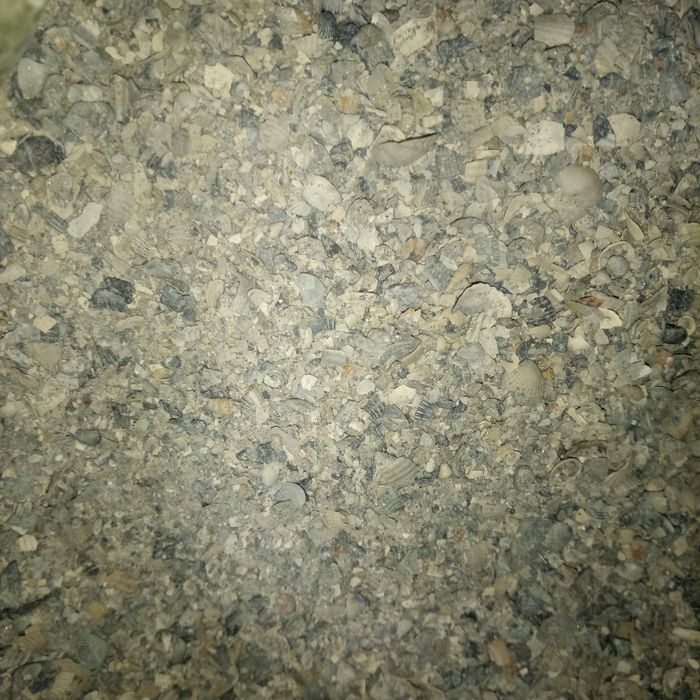 Ракушки дробленка