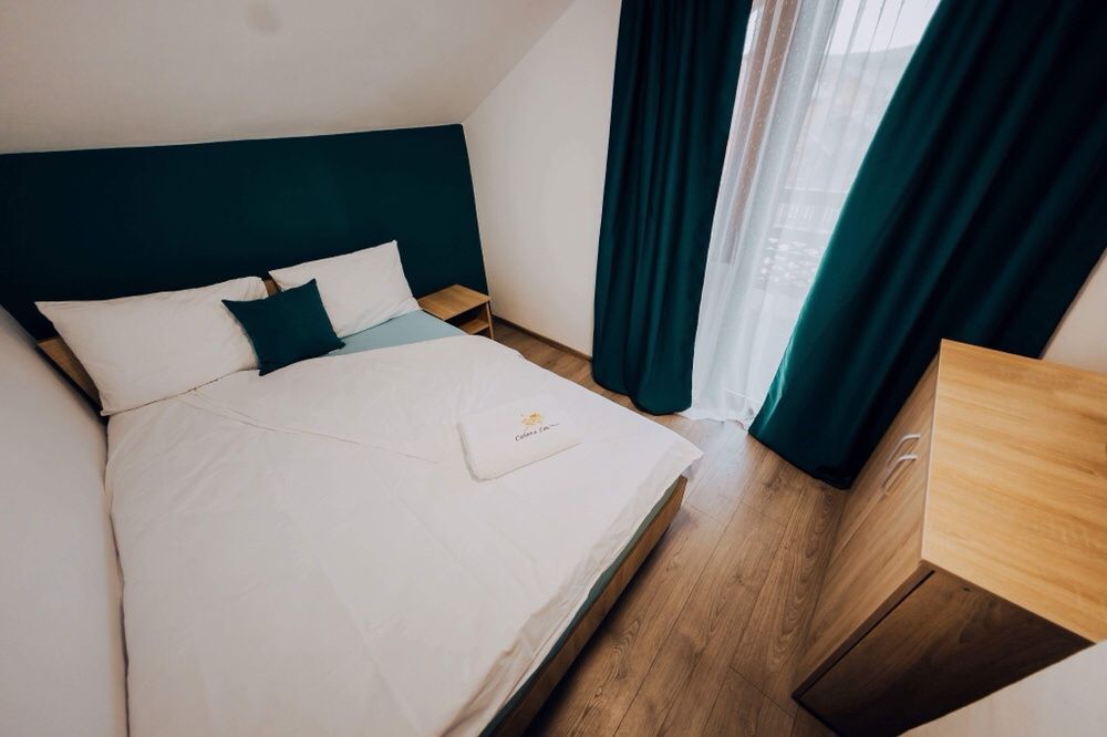 Cabana LEU Baile Figa /• Ciubăr cu jacuzzi / OCUPATA DE REVELION