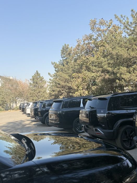 Leapmotor C16 Firmaga ham beriladi