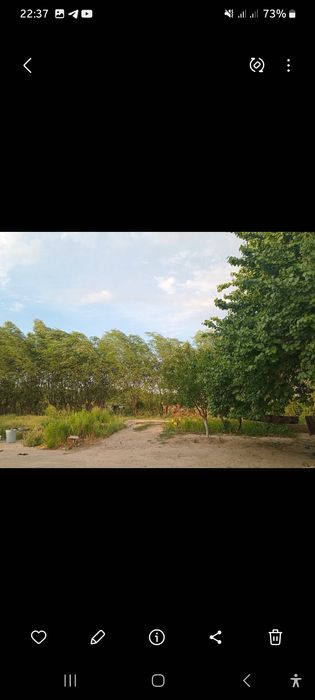 Buka tumanida chorva uchun nunjanlangan uy sotiladi 90 sotix