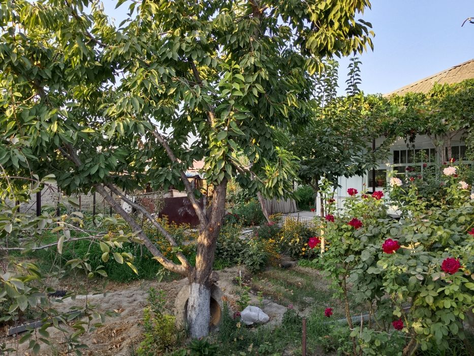 Продоётся дом.поселок чархин