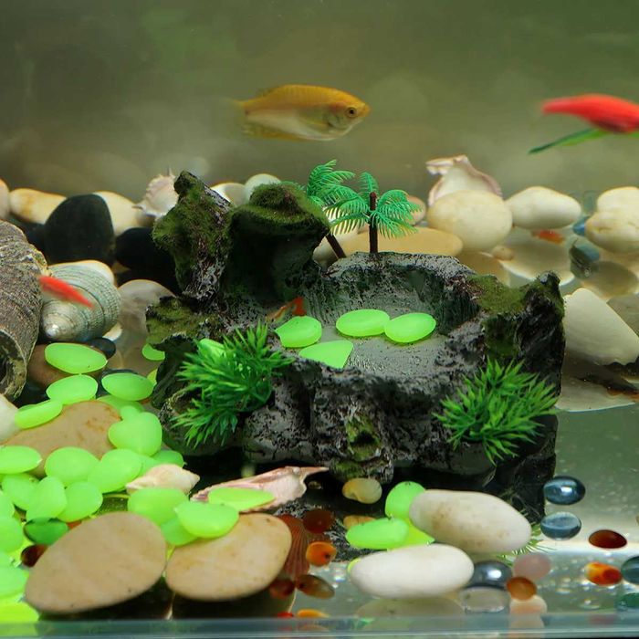 Pietre decorative fluorescente verzi 100 buc pentru alei vaze acvarii