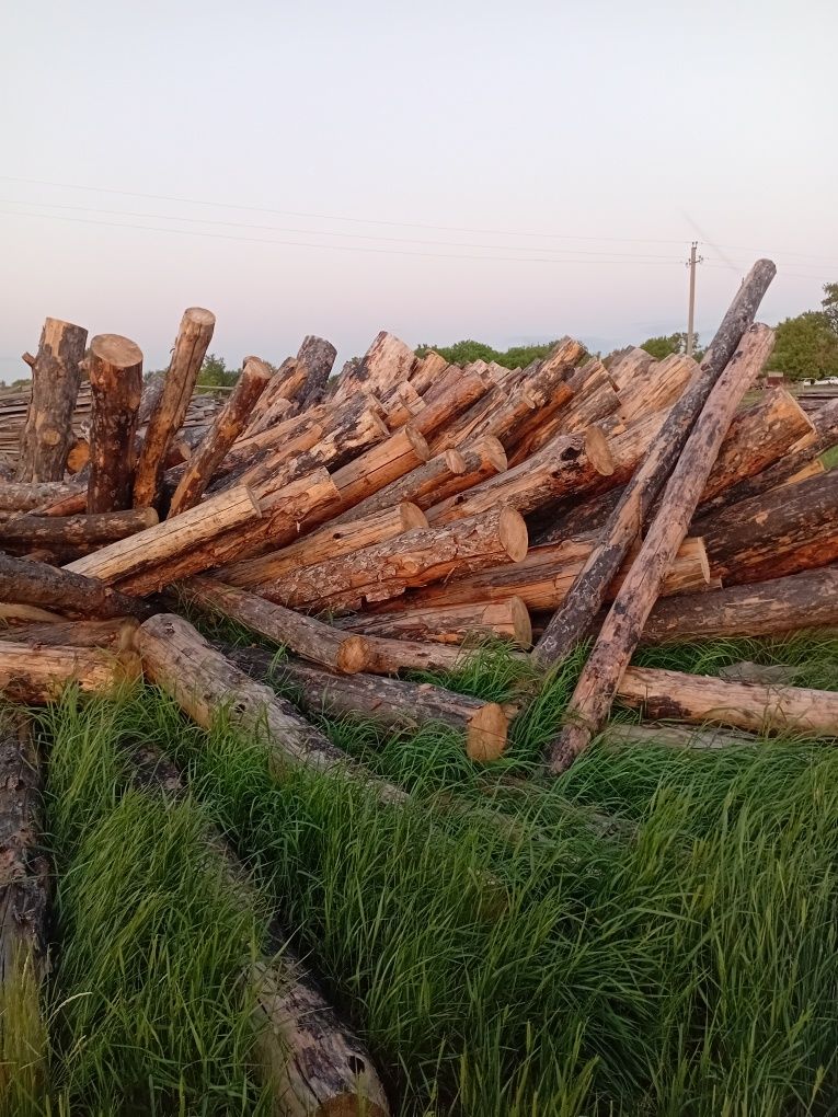 Продам дрова столбы