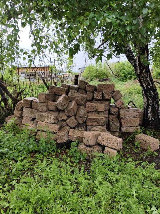 Ракушечник, 100тг