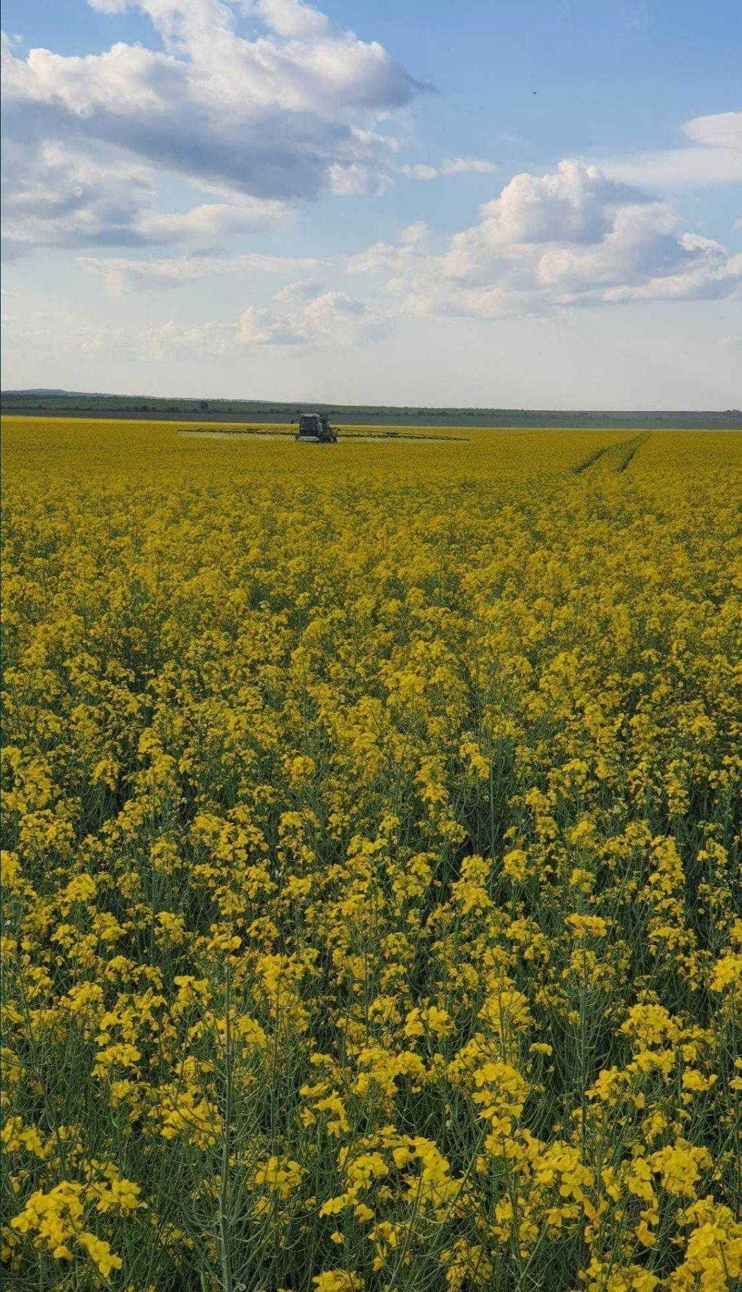 Prestari Lucrări Agricultura