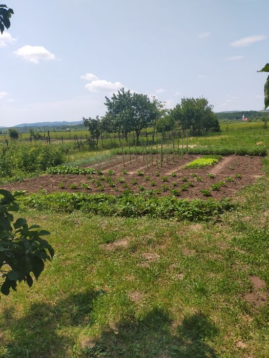 Se vinde gradina
