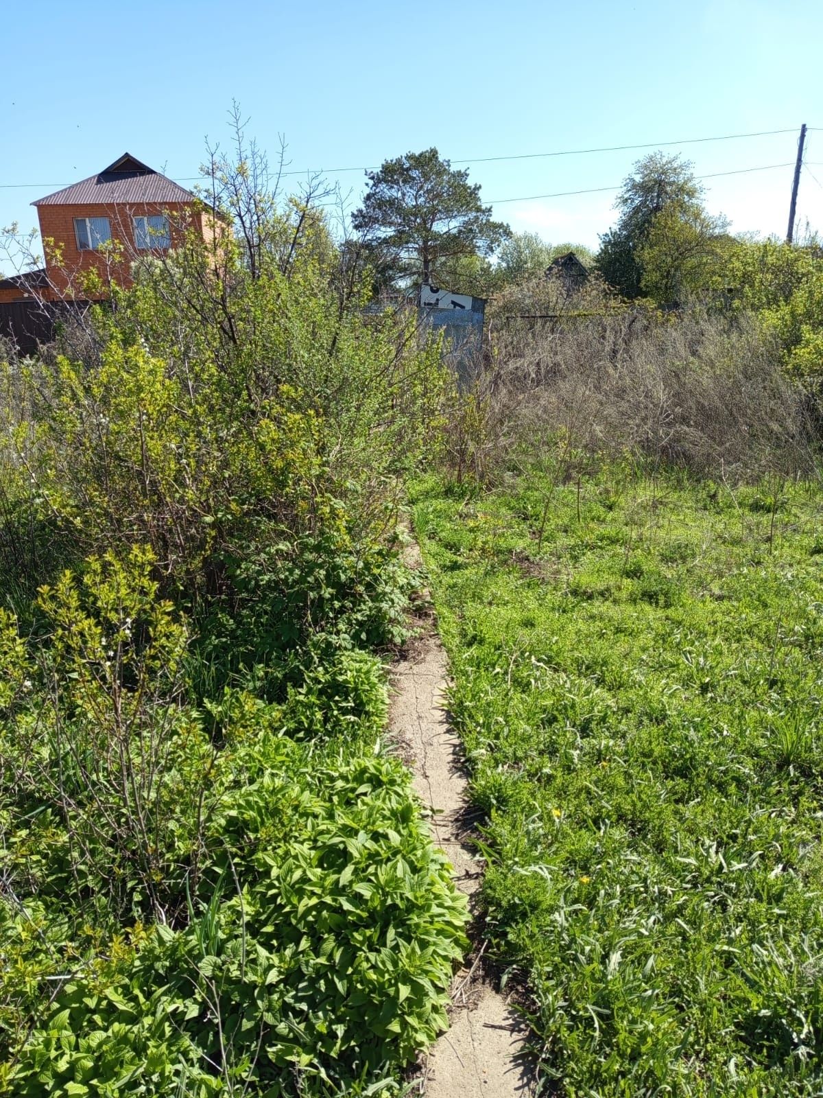 Продам дачу в заречном 1