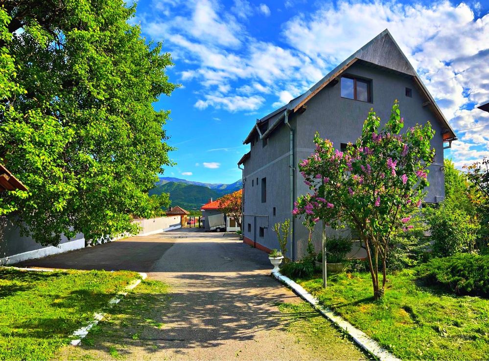 Cabana/pensiune cu terasa, piscina, ciubar, sauna de inchiriat