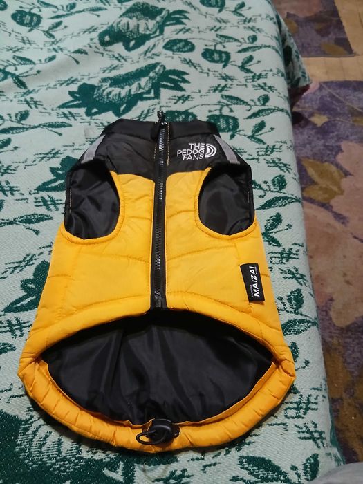 Яке за куче с цип