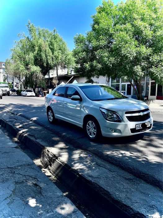 Cobalt suxoy arenda faqat Toshkent shahriga beriladi