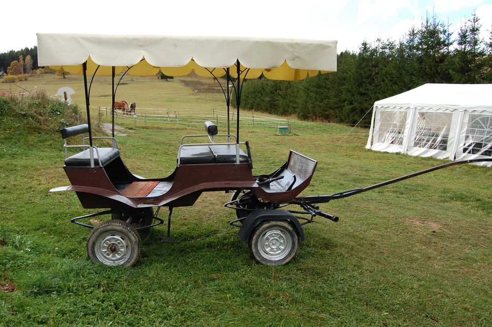 trăsură cai pentru turism rural