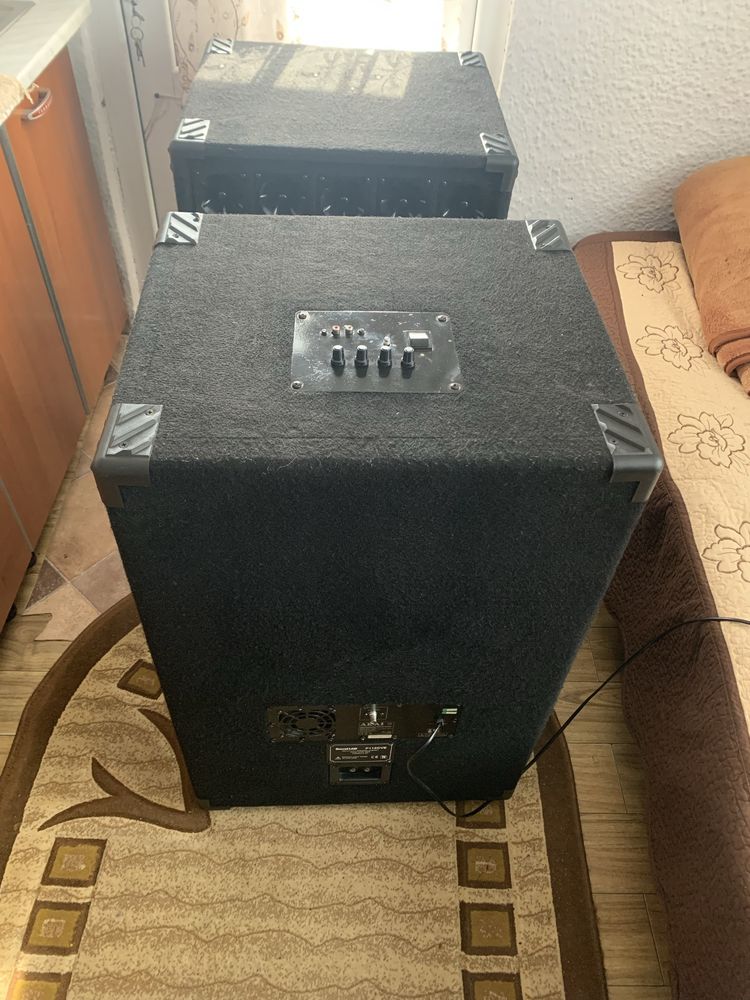Boxe professionale 15inch
