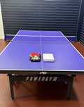 Стол для Настольного тенниса T202. Stol tennis