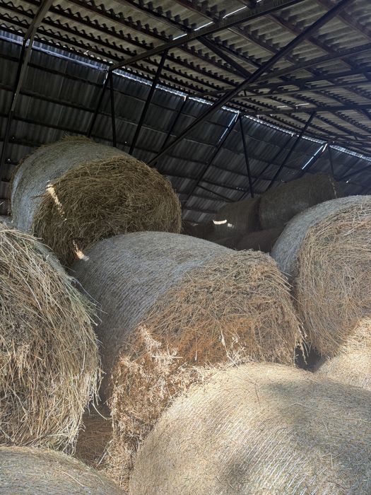 Vand baloti de lucerna