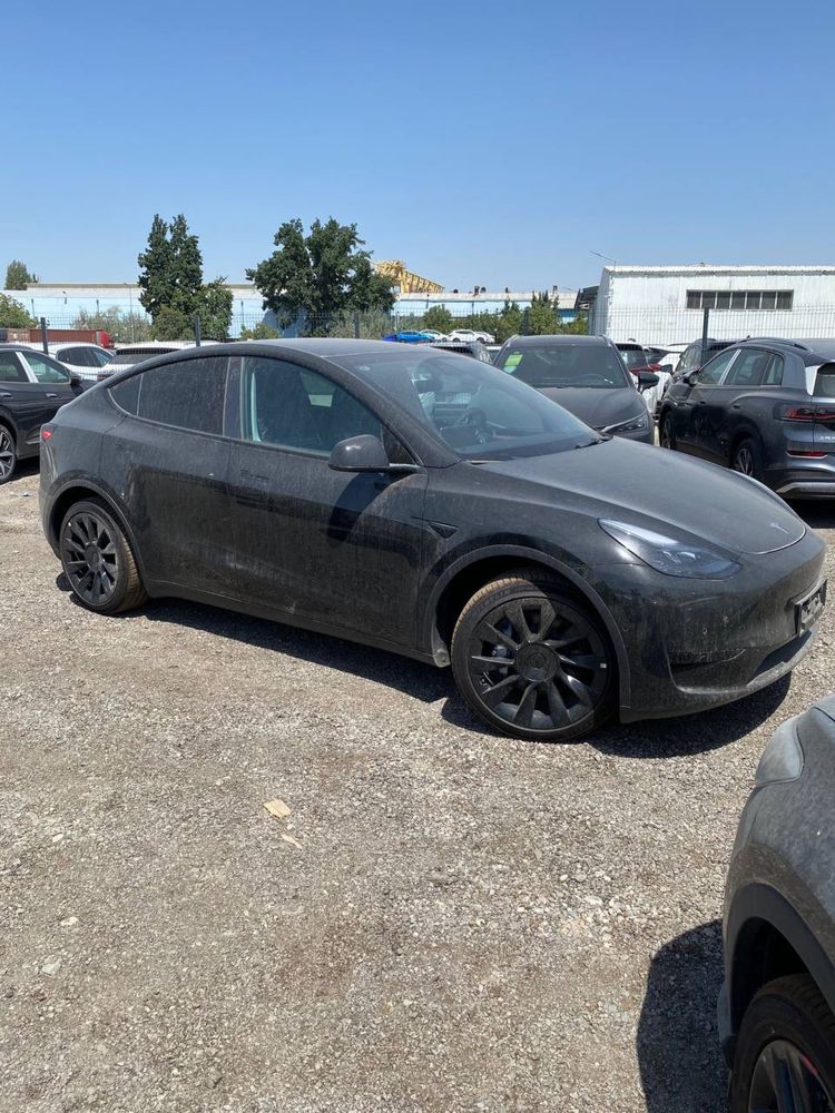 Tesla Model Y standart в наличии