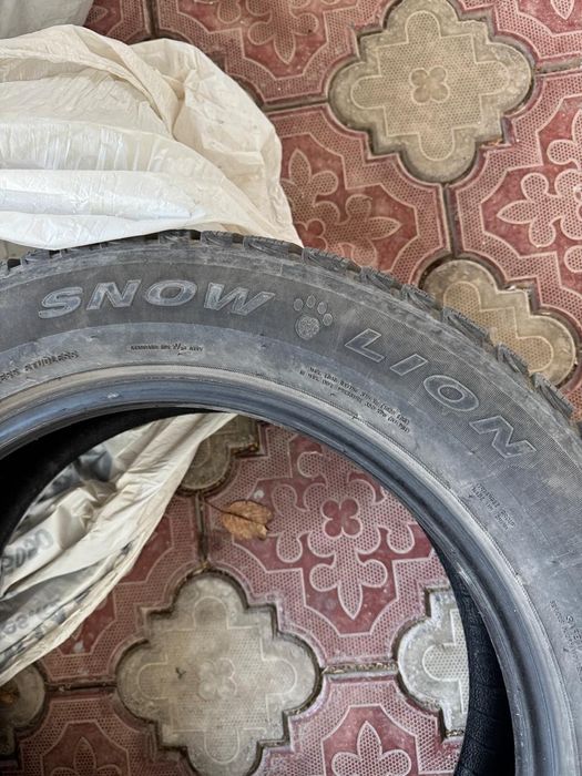 Зимние  шины Triangle Snow lion