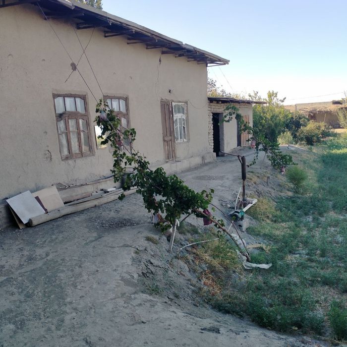 Hovli sotiladi novbohor tumani arab saroy zarafshon fermer xojaligi