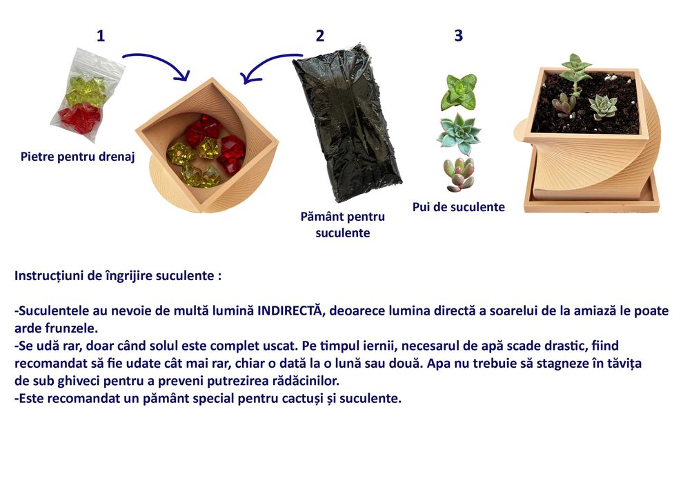 Kit ghiveci printat 3D cu suculente - set de plantat
