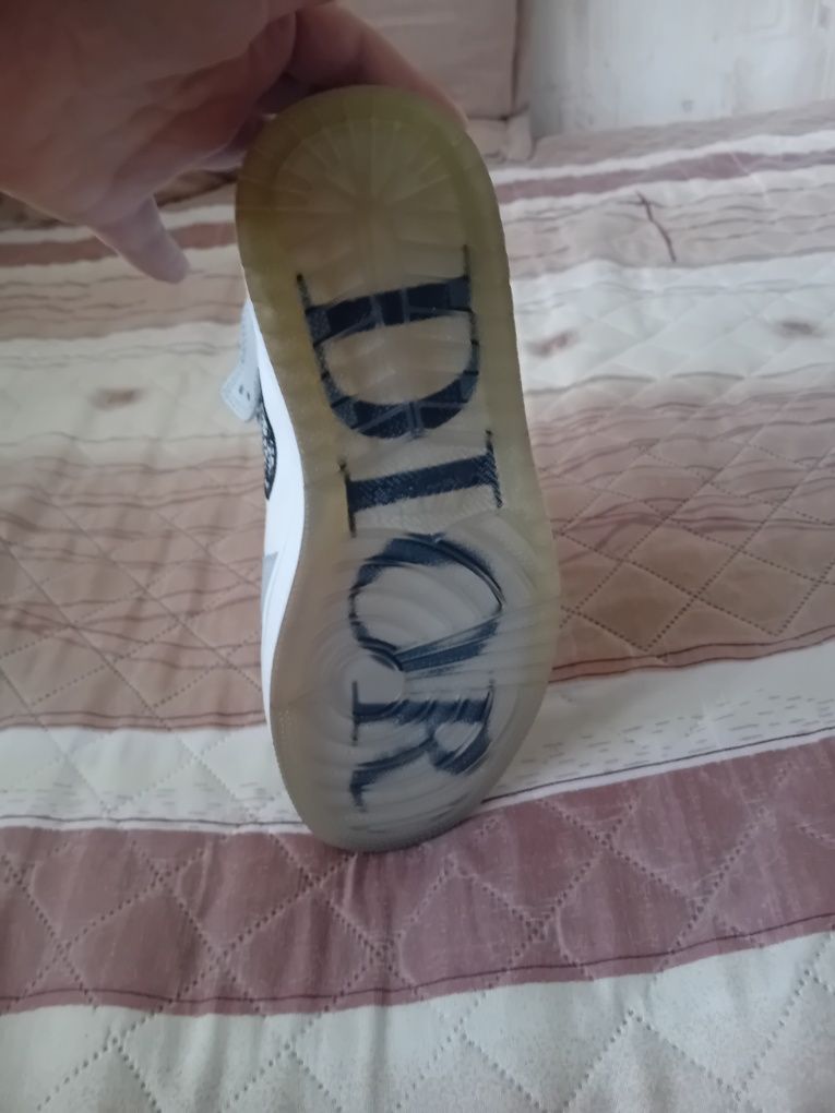 Jordan Dior shoes