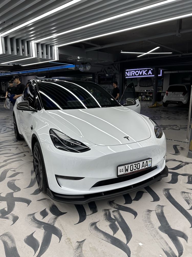 Tesla Model Y Performance 2023 carbon
