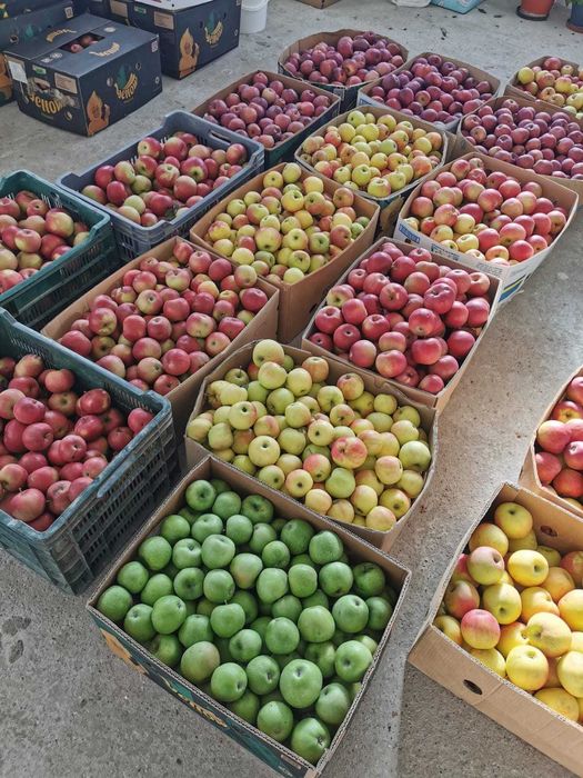 Mere romanesti din livada proprie