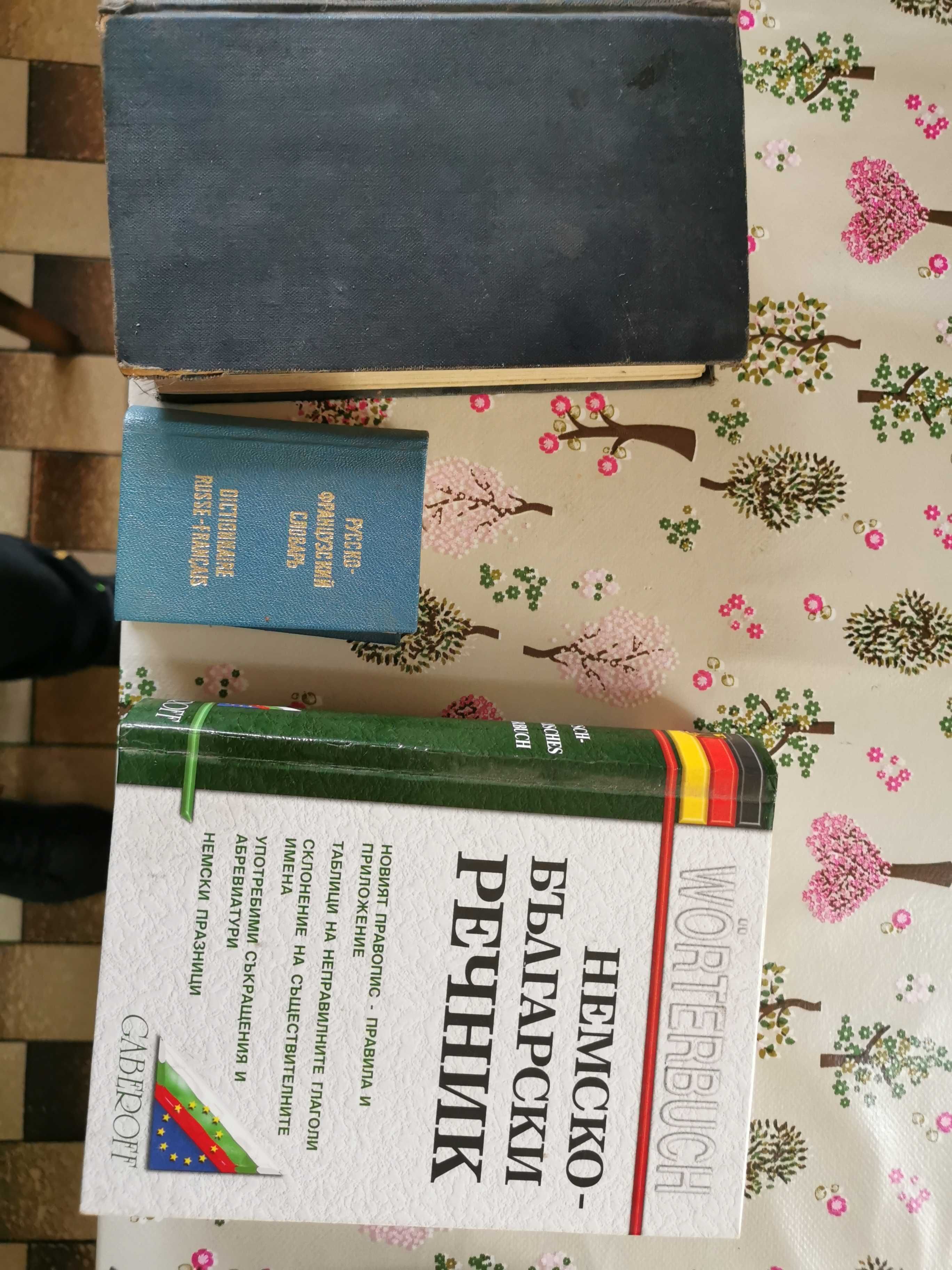 Миниатюрен руско френски речник